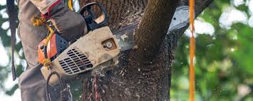 Best Aeration Services  in Robinson, TX