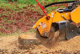Best Leaf Removal  in Robinson, TX